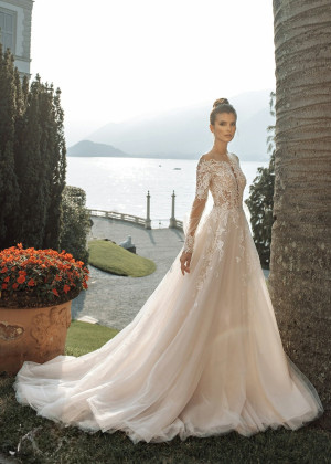 Long Sleeves Ivory Lace Tulle Pearl Buttons Back Wedding Dress Long Sleeves Ivory Lace Tulle Pearl Buttons Back Wedding Dress